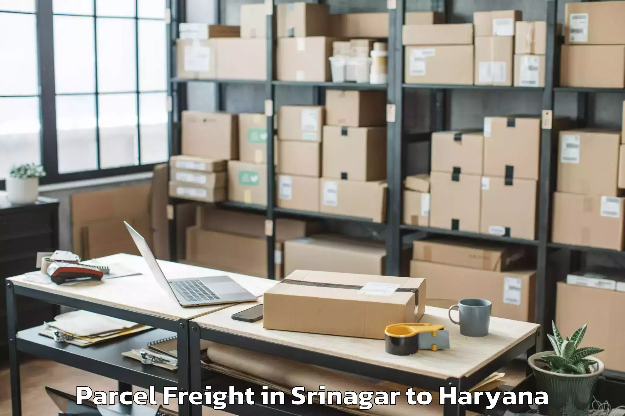 Professional Srinagar to Chaudhary Charan Singh Haryana Parcel Freight